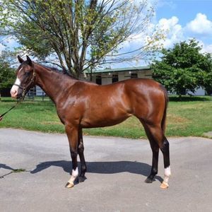 Meet your Posher, Kathleen